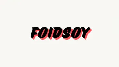 Foidsoy
